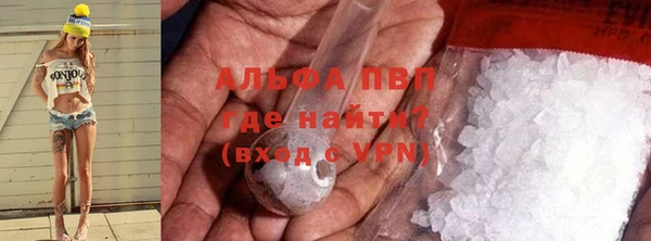 индика Киренск