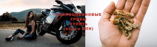 spice Кинешма