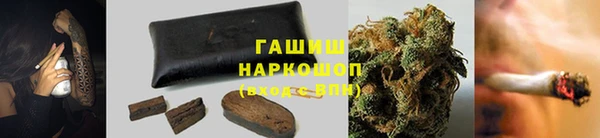 индика Киренск