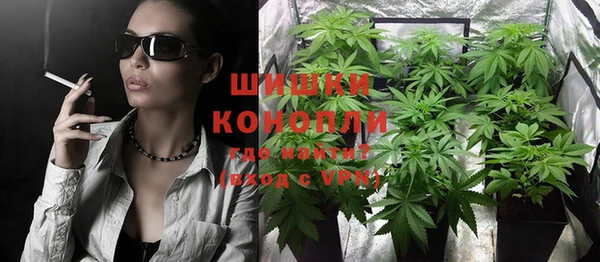индика Киренск