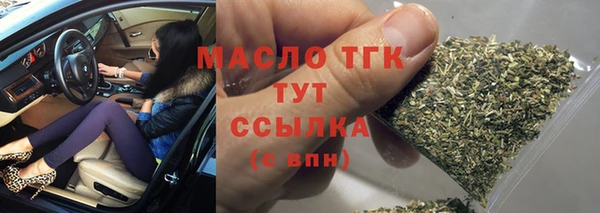 индика Киренск