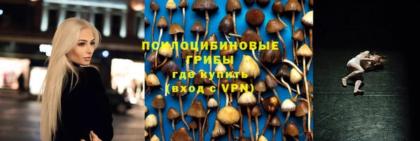 амф Киреевск