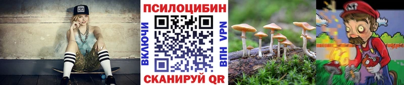 Псилоцибиновые грибы ЛСД  хочу наркоту  Элиста 