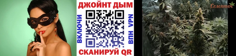 Бошки марихуана индика  blacksprut вход  Элиста 